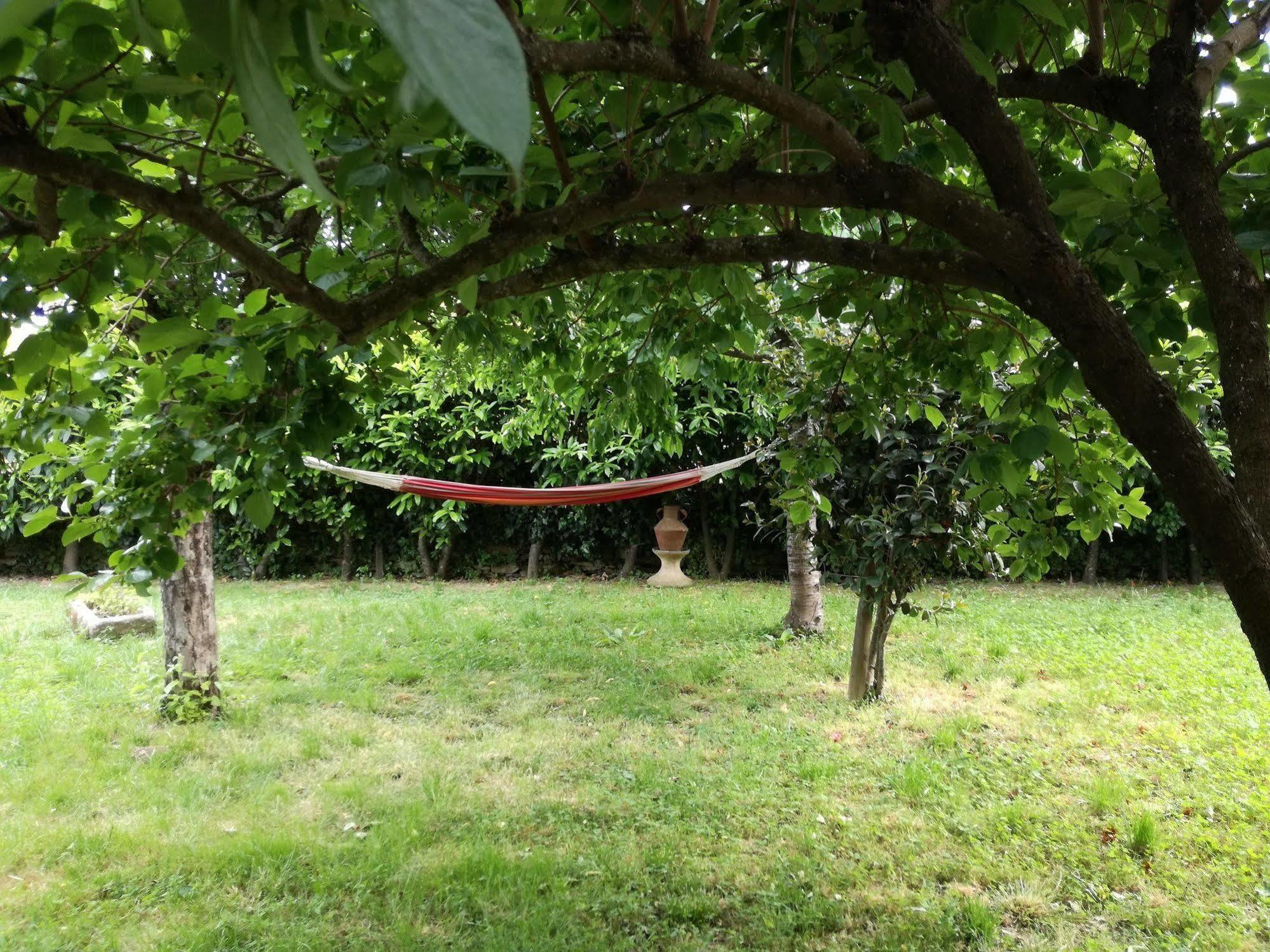 O Ze Ja Dormiu Aqui Celeiros Exterior foto