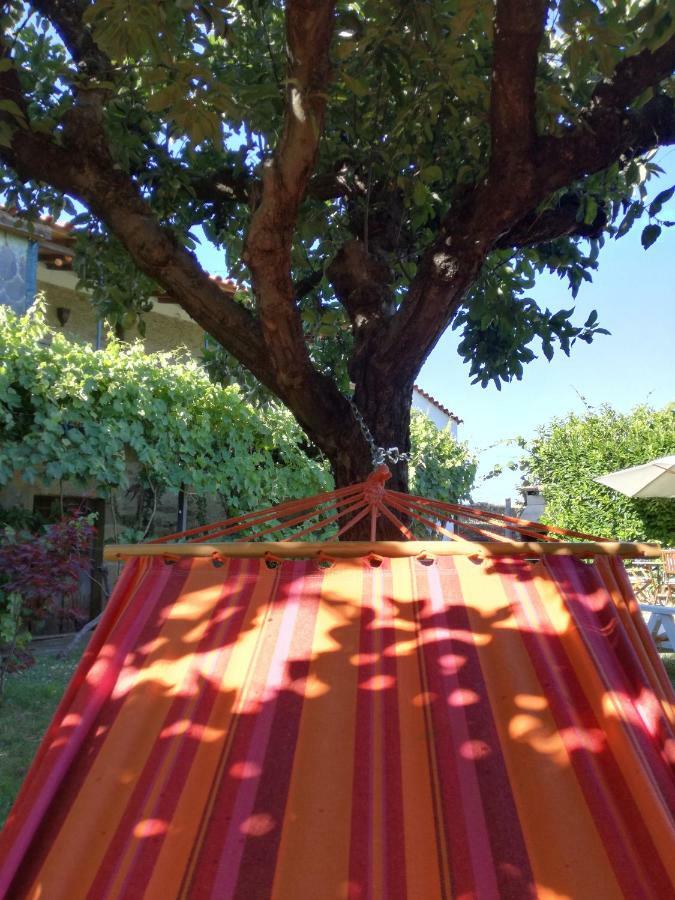 O Ze Ja Dormiu Aqui Celeiros Exterior foto