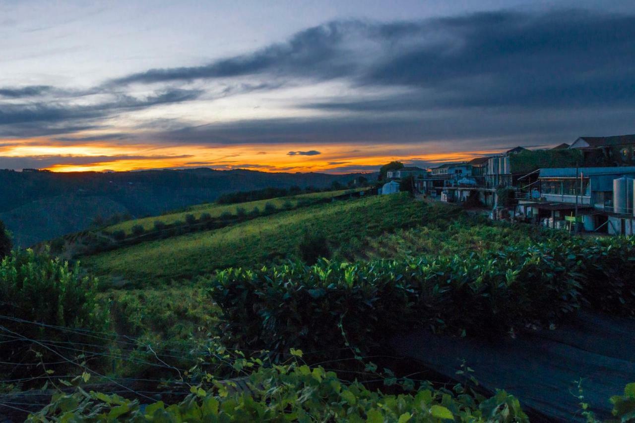 O Ze Ja Dormiu Aqui Celeiros Exterior foto